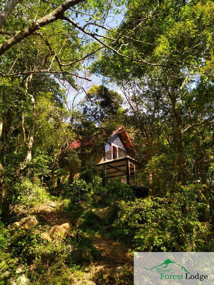 Arangala Forest Lodge Naula Zewnętrze zdjęcie